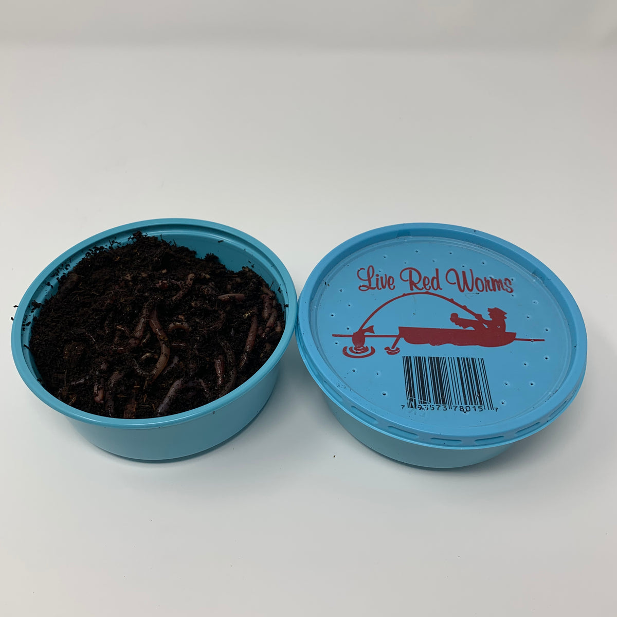 Live Red Wigglers